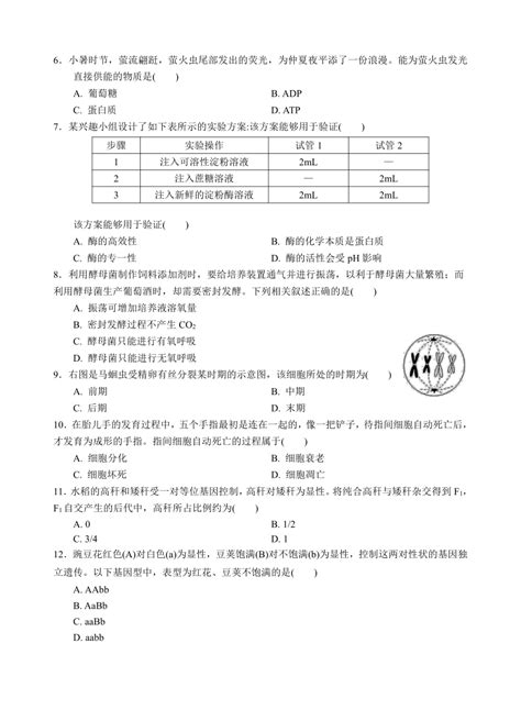 2019年宁夏银川中考高中学校招生计划表(2)_中招计划_中考网