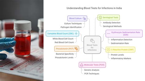 What are the different types of blood tests for detecting infections? - HealthcareOnTime