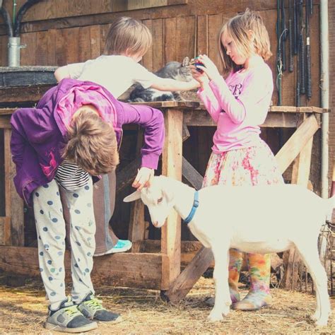 Hobbies 的图像结果