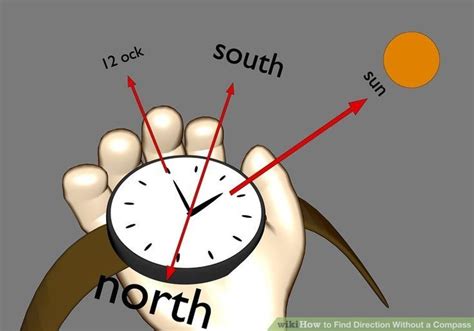 Image result for How to Tell Direction without Compass