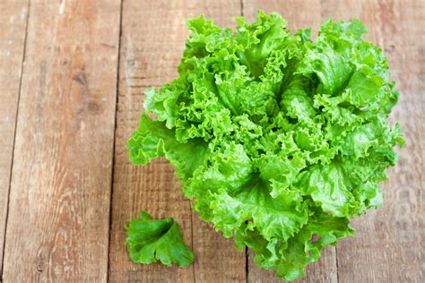 18 Types of Lettuce and the Best Ways to Eat Each One | Epicurious