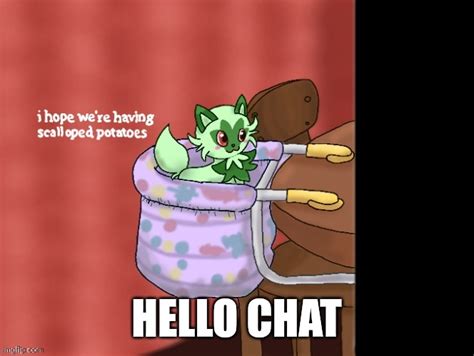 Image result for Hello Chat Meme
