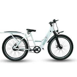SS Bikes CargoX Heavy Duty Electric Cycle for Adults | 50-60 Km Range ...