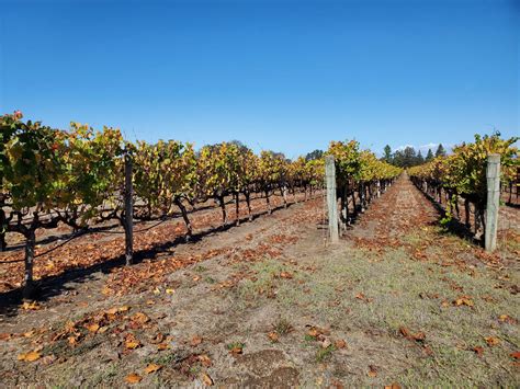 Contra Costa Wine Group Calendar