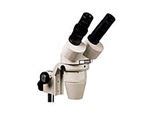Understanding Microscopes and Objectives | Edmund Optics