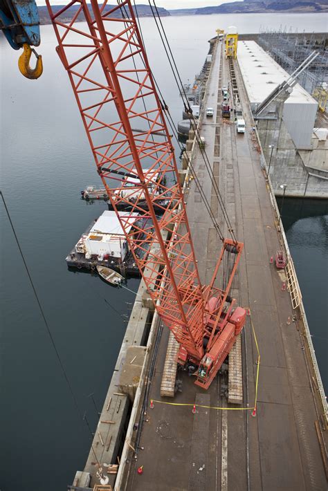 Crane Types 的图像结果