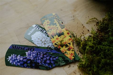 Image result for Using a Bulb Planter