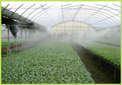 Mist Cooling & Fogging System in India - Manufacturers & Suppliers