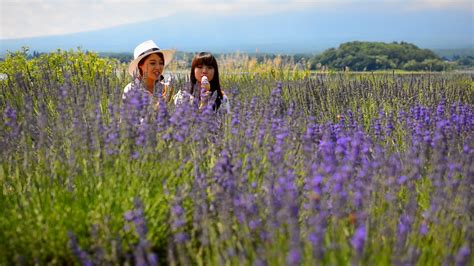 Kawaguchiko Natural Living Center - Mt.Fuji Calling | 富士山が呼んでいる