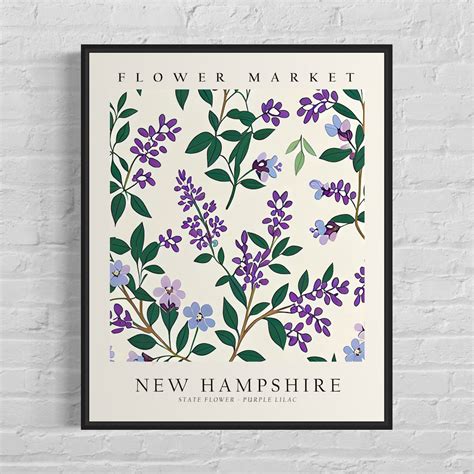 New Hampshire State Flower, New Hampshire Flower Market Art Print ...