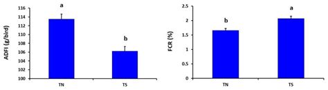 Effects of Chronic Thermal Stress on Performance, Energy Metabolism ...