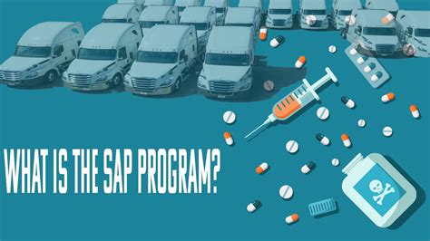What Is SAP Program 的图像结果