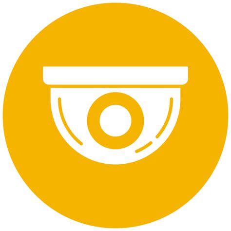 Image result for Security Camera ICO