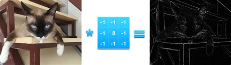 Filter Convolution 的图像结果