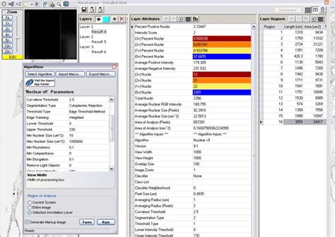 ImageScope Algorithm Software Logo 的图像结果