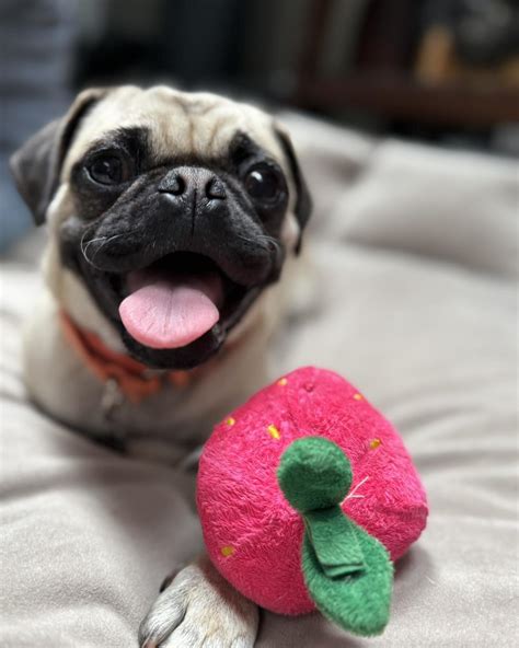 The Sam Simon Foundation (@samsimonfoundation) • Instagram photos and ...