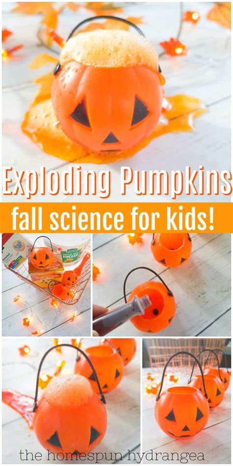 Image result for Exploding Pumpkin Experiment