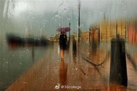 很喜欢宫崎骏说的一句话：“你住的城市下雨了，很想问你有没有带伞|宫崎骏|我爱你|城市_新浪新闻
