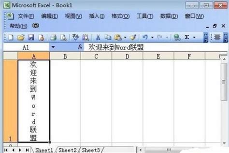 Excel表格文字横排设置成竖排技巧_360新知