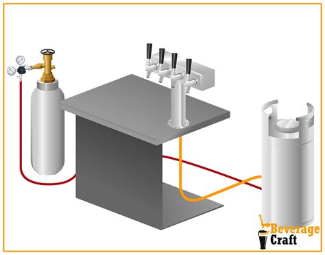 10 Things You Need to Know About Cornelius ‘Corny’ Kegs for Homebrewing ...