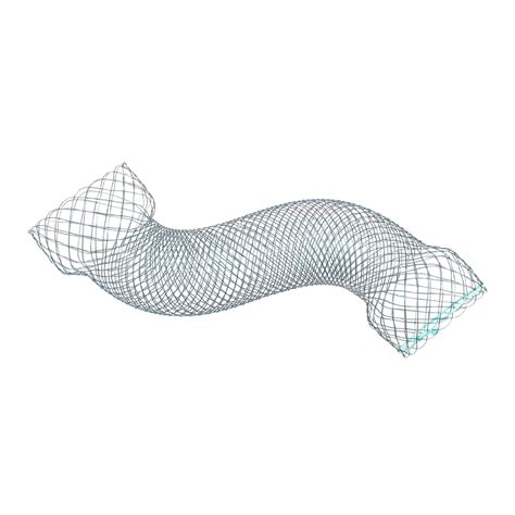 Taewoong Esophagus Stent