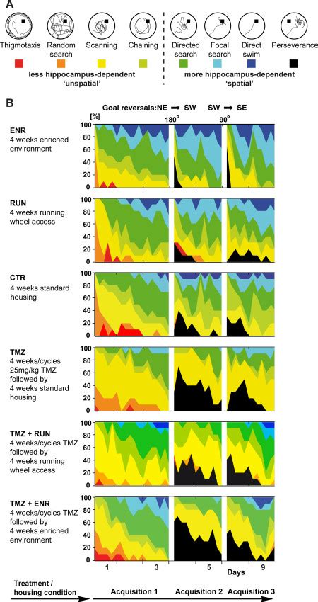 Authentic Classification Strategy Examples 的图像结果