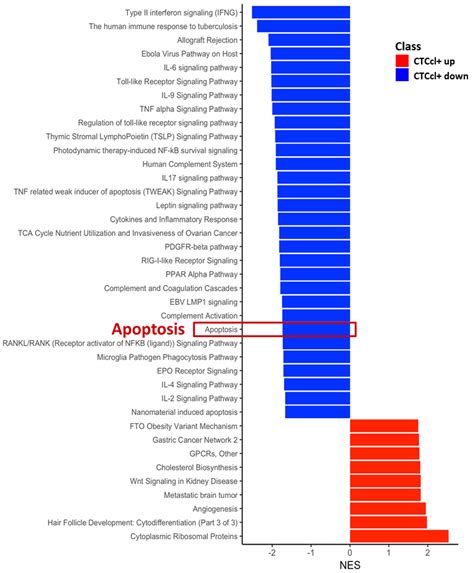 A CTC-Cluster-Specific Signature Derived from OMICS Analysis of Patient ...