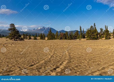 The Smallest Desert of the World at Carcross Stock Photo - Image of hill, world: 170730070