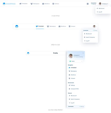 Image result for Responsive Software Navigation Design