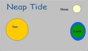 Draw the diagram of neap tides and spring tides? - Brainly.in