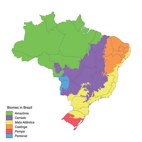 Map of biomes in Brazil, six terrestrial biomes 35315894 Vector Art at Vecteezy