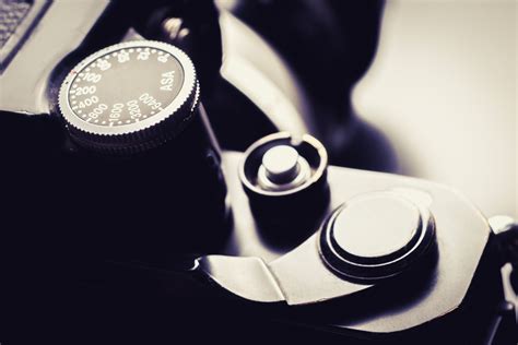 Automated Image Processing Software 的图像结果