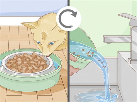 How to Keep Ants Away From Cat Food (with Pictures) - wikiHow
