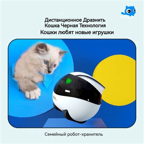 Умный робот-компаньон для домашних животных/Удаленный мониторинг ...
