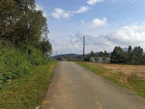 LAZO COORG BLOSSOM VILLAS (Somwarpet) - Hotel Reviews & Photos ...
