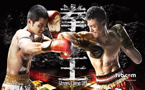 《拳王2012》高清完整版剧集在线观看全集 - 网飞TV