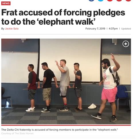 Rugby Elephant Walk at Harold Olmstead blog