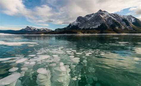 Peyto Lake & Ice Bubbles at Abraham Lake Frozen Journey - Klook India