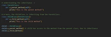 Image result for Class Inheritance Simple Python Code