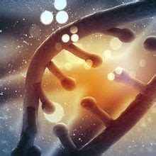 Image result for Mouse Genetics