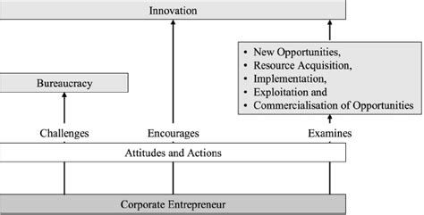Corporate Entrepreneurship 的图像结果