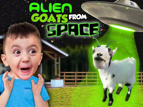 Funnel Vision Ninjas 的图像结果