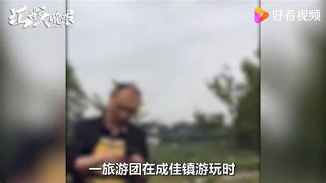 游客挖竹笋遭村民索赔1根1万-搜狐大视野-搜狐新闻