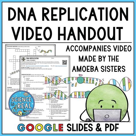 DNA Replication Amoeba Sisters Video Handout - Science is Real Education