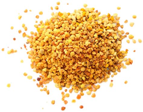 Spanish bee pollen 55 lbs – Artofit