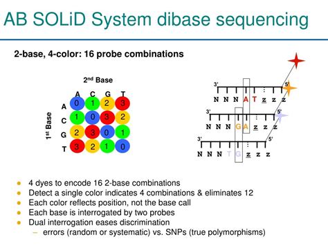 Image result for High Throughput Sequencing Applications