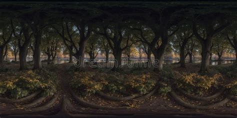 Image result for Equirectangular Forest