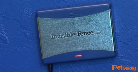 Image result for Invisible Fence Training Tutorial