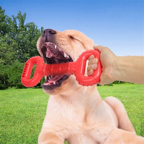 New Interactive Pulling Type Sound Leakage Dog Toy with Two Hand Handle ...