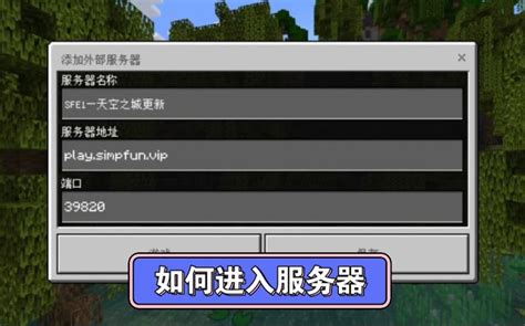 +SMP JavaServer Address 的图像结果
